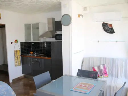 Studio climatisé 2 pers., terrasse sud-ouest, parking à Agde : photo 7