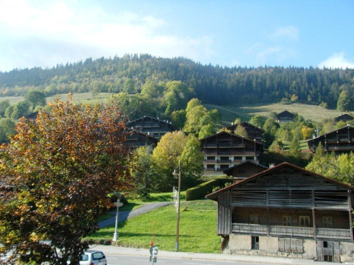 Studio 4 pers. avec cabine au cœur du Grand-Bornand - Photo 8