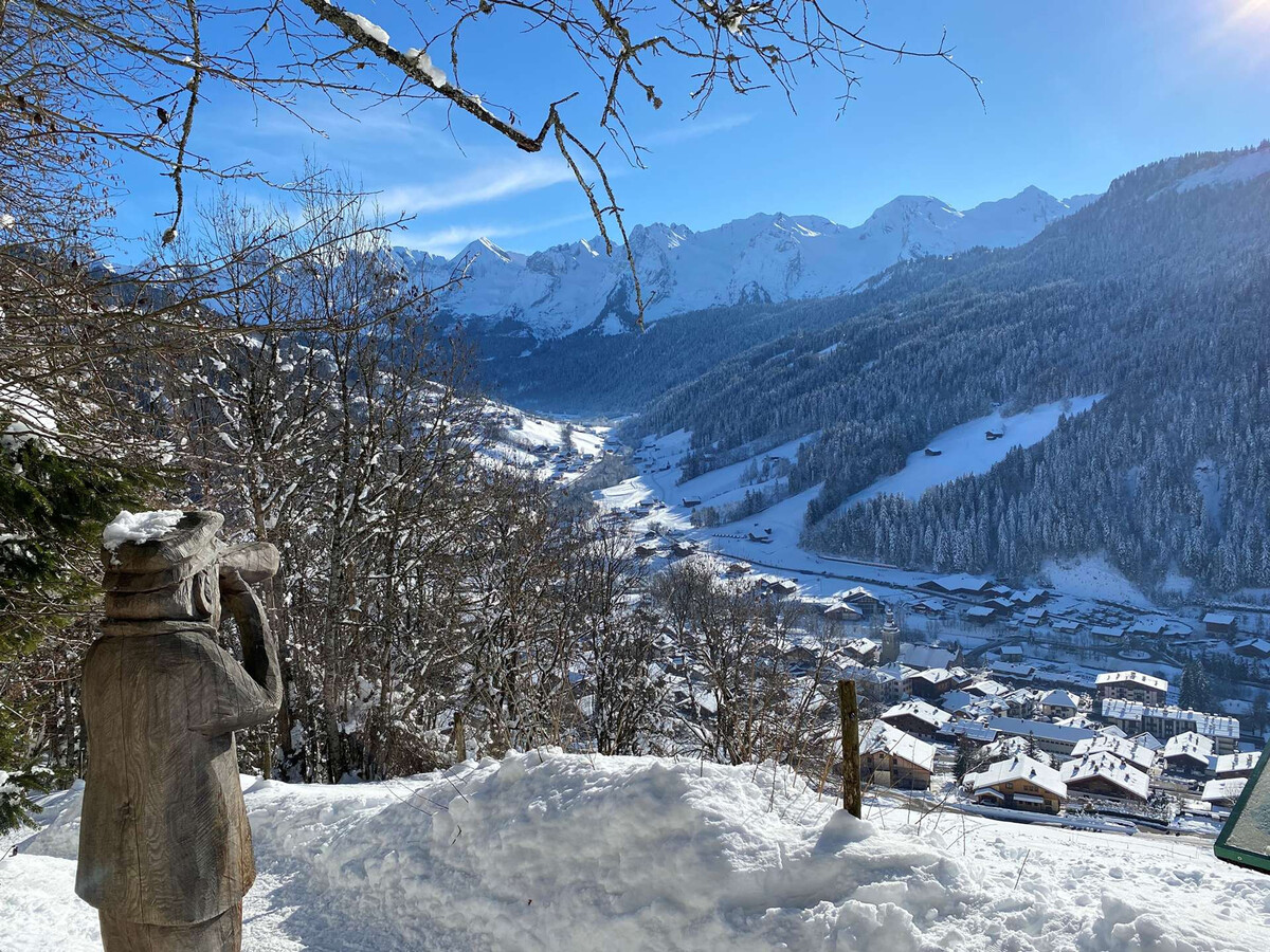 Studio 4 pers. avec cabine au cœur du Grand-Bornand - Photo 11