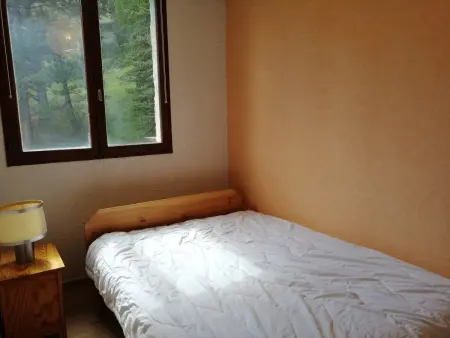 Appartement 2 pièces vue panoramique sud, 250 m télécabine : photo 4