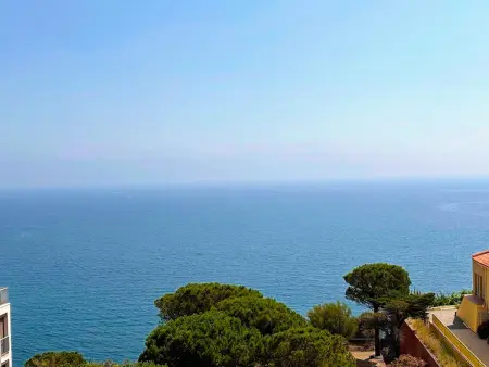 T2 Banyuls-sur-Mer, vue mer et parking couvert : photo 2
