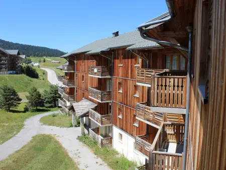 Appartement 2 pièces balcon sud, pistes à 100 m - Le Dévoluy : photo 25