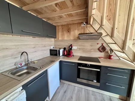 Studio 4 pers balcon sud, centre Alpe d'Huez : photo 4