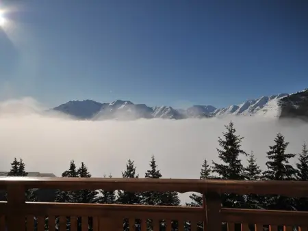 Appartement 3 pièces, 6 pers, 70m², Vieil Alpe, Alpes d'Huez, animaux OK - Photo 1