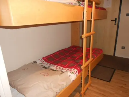 Appartement 2 pièces 5 pers, animaux, ski au pied - L'Alpe d'Huez : photo 3