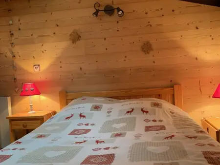 Appartement 2 pièces 5 pers, animaux, ski au pied - L'Alpe d'Huez : photo 7