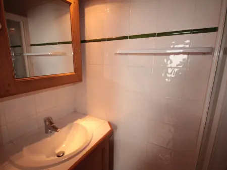 T4 Mezzanine 77m² Vue Montagne & Parking Couvert : photo 12