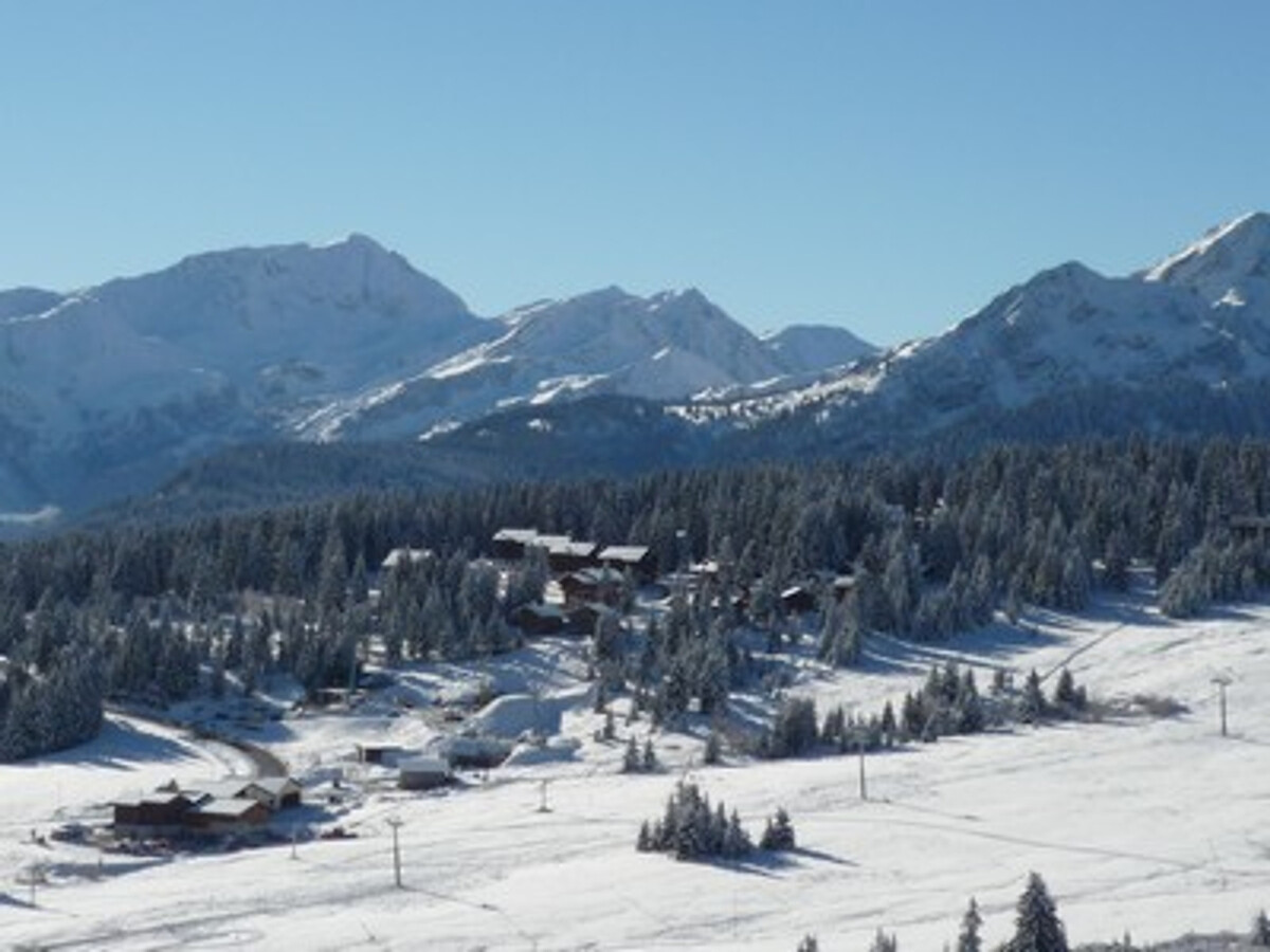 Duplex 6 pers aux Saisies - Vue pistes, animaux OK - Photo 12