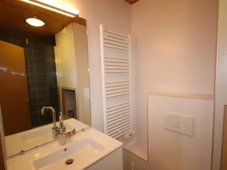 Appartement 2 pièces cabine au pied des pistes, vue Beaufortain : photo 3