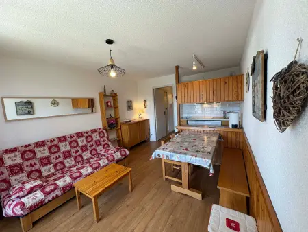 Appartement 2 pièces aux Saisies, balcon plein sud, animaux ok : photo 6
