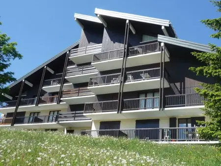 Appartement 2 pièces aux Saisies, balcon plein sud, animaux ok : photo 14