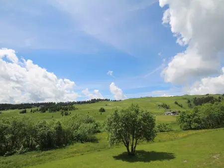 Studio cabine 5 pers aux Saisies, balcon sud vue pistes - Photo 7