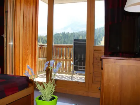 Location appartement à Le Dévoluy, Appartement à 100m des pistes pour 6 pers, balcon sud