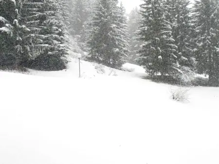 Studio skis aux pieds, balcon Sud-Ouest, 5 pers aux Arcs : photo 3