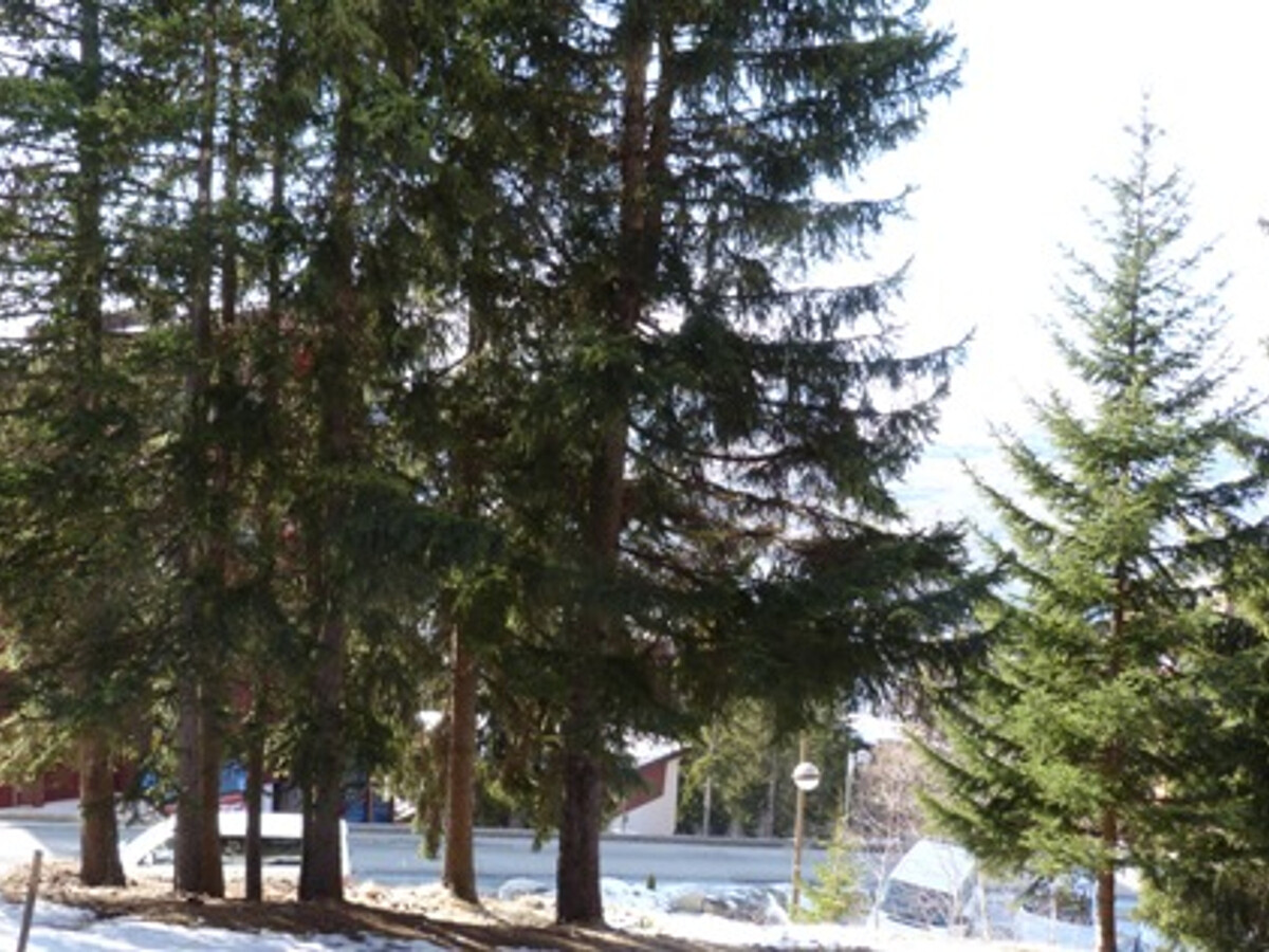 Studio duplex 5 pers. balcon Sud-Ouest aux Arcs 1800 - Photo 4