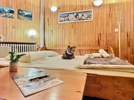 Appartement 2 pièces à Tignes proche pistes et commerces, 4 personnes : photo 13
