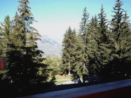 Studio skis aux pieds, 5 pers., balcon, animaux acceptés : photo 15