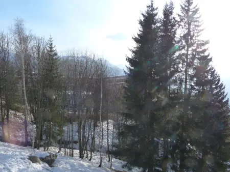 Appartement 2 pièces avec balcon Sud-Ouest aux Arcs 1800 : photo 3
