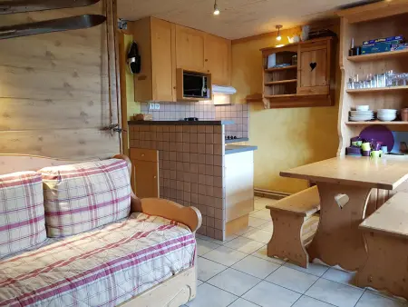 Appartement 2 pièces balcon sud-ouest, 50m des pistes : photo 2