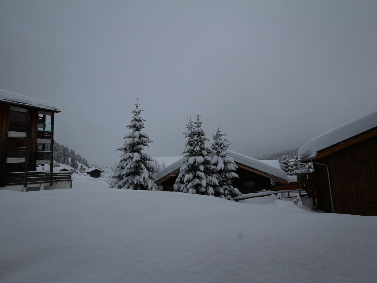 Appartement 5 pers aux Saisies, vue pistes sud - Photo 11