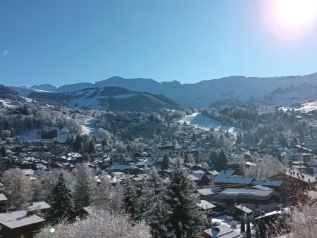 Appart 2 pièces mezzanine Megève, balcon sud, 4 pers. : photo 9