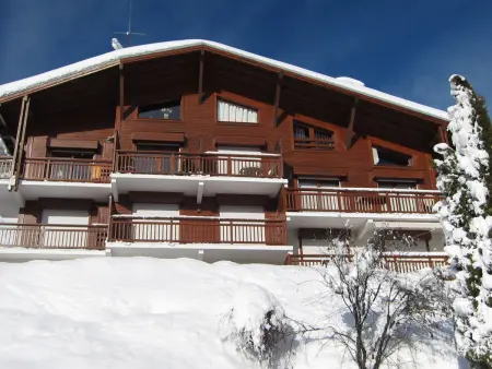 Appart 2 pièces mezzanine Megève, balcon sud, 4 pers. : photo 11
