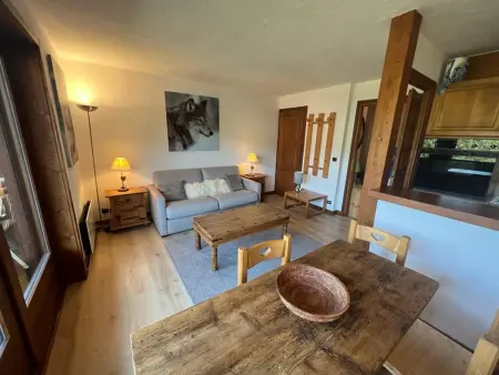 Location appartement à Megève, Studio cosy à Megève - Animaux admis
