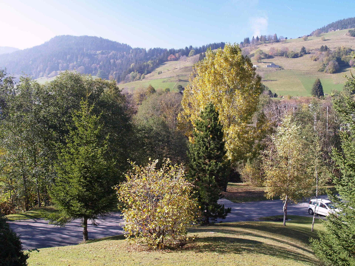 Studio 23m² Megève - 3 personnes, animaux acceptés - Photo 5
