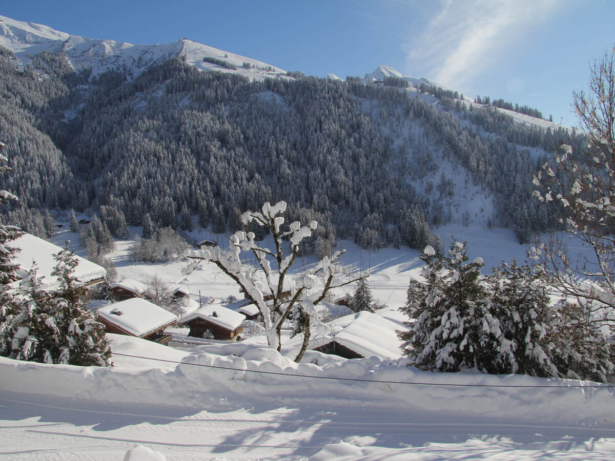 Appartement 2 pièces + balcon sud à La Clusaz - Photo 16