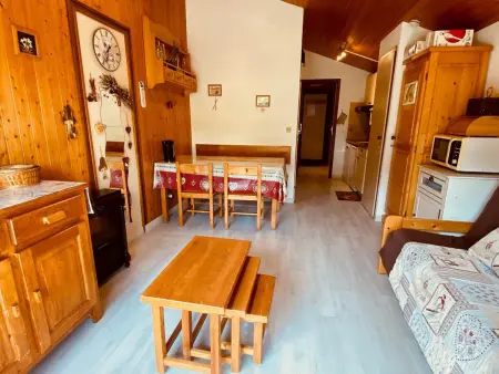 Appartement 27 m² + garage, 5 couchages à La Clusaz : photo 5