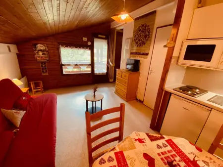 Studio 23 m² avec balcon et parking à La Clusaz : photo 2