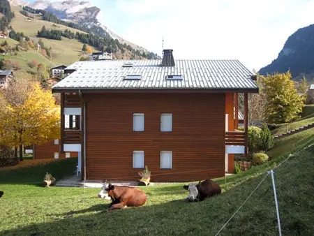 Studio 23 m² avec balcon et parking à La Clusaz : photo 13