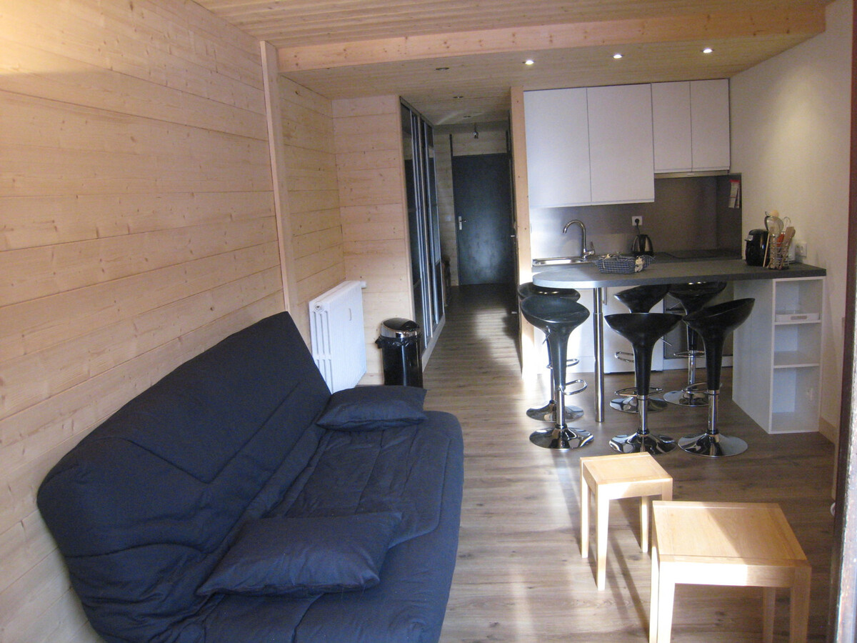 Appartement 2 pièces balcon sud, La Clusaz - Photo 3