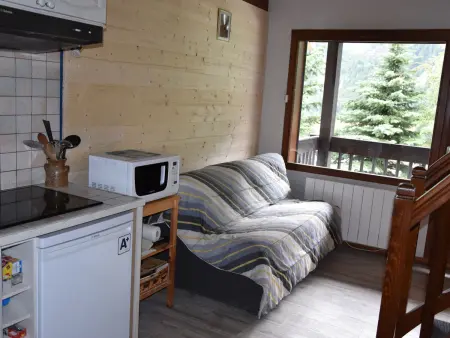 Charmant appartement 2 pièces avec mezzanine, Pralognan-la-Vanoise : photo 2