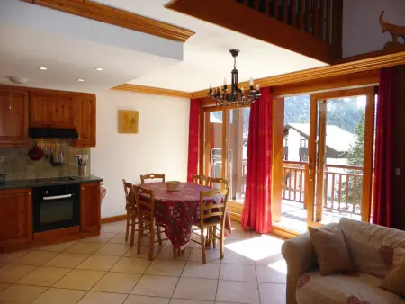 Duplex 4 pièces balcon sud à Pralognan-la-Vanoise : photo 4