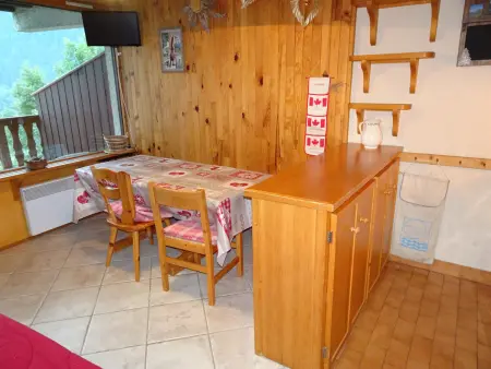 Duplex 37 m² à 50 m des pistes, 2 balcons sud : photo 8