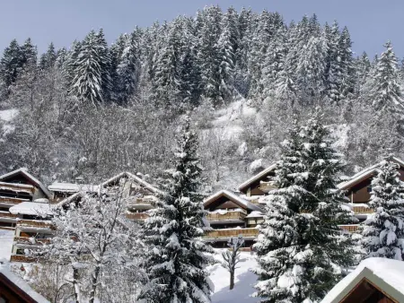 Duplex 37 m² à 50 m des pistes, 2 balcons sud : photo 15