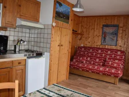 Location appartement à Pralognan la Vanoise, Studio cosy près des commerces, balcon sud