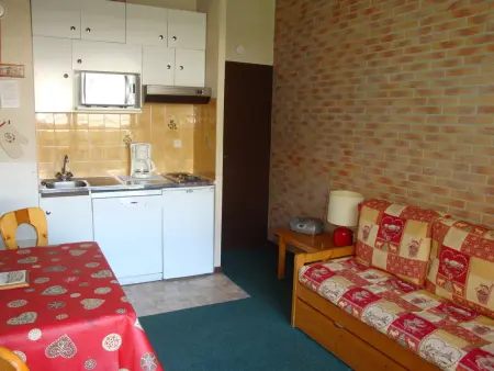 Location appartement à Pralognan la Vanoise, Studio cosy centre, balcon sud, animaux et parking