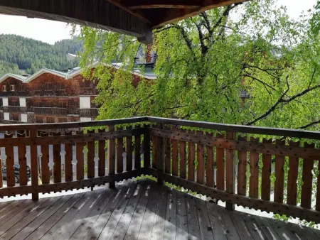 Appartement chalet 48m² à 40m des pistes, Pra-Loup : photo 6