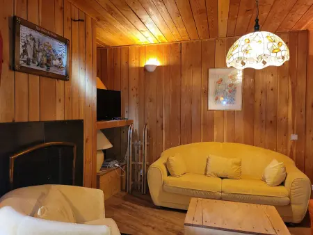 Appartement chalet 48m² à 40m des pistes, Pra-Loup : photo 9