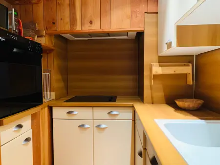 Appartement chalet 48m² à 40m des pistes, Pra-Loup : photo 10