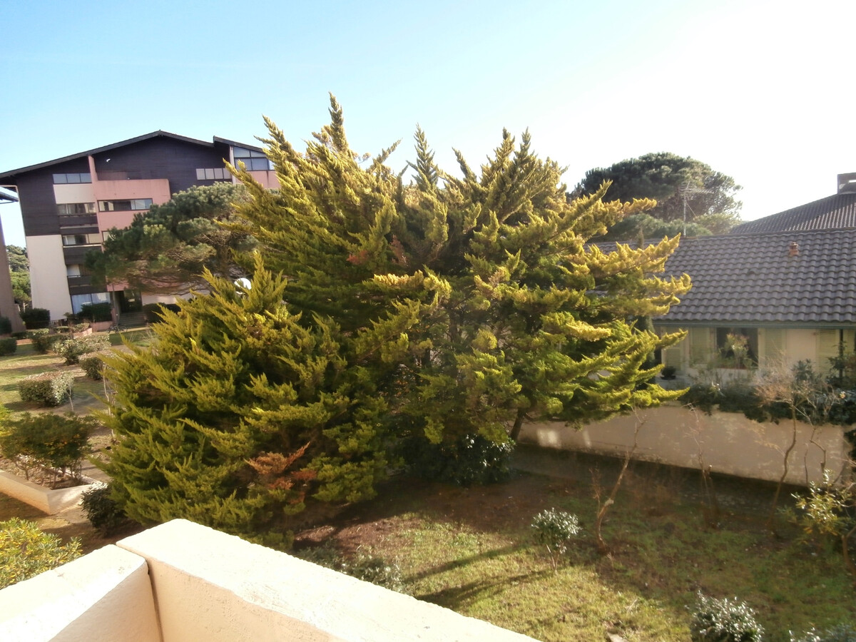 Appartement rénové 4 pers, balcon Ouest à Seignosse - Photo 3