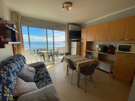 Location appartement à Balaruc les Bains, Appart climatisé 3 étoiles proche Thermes et étang, animaux admis