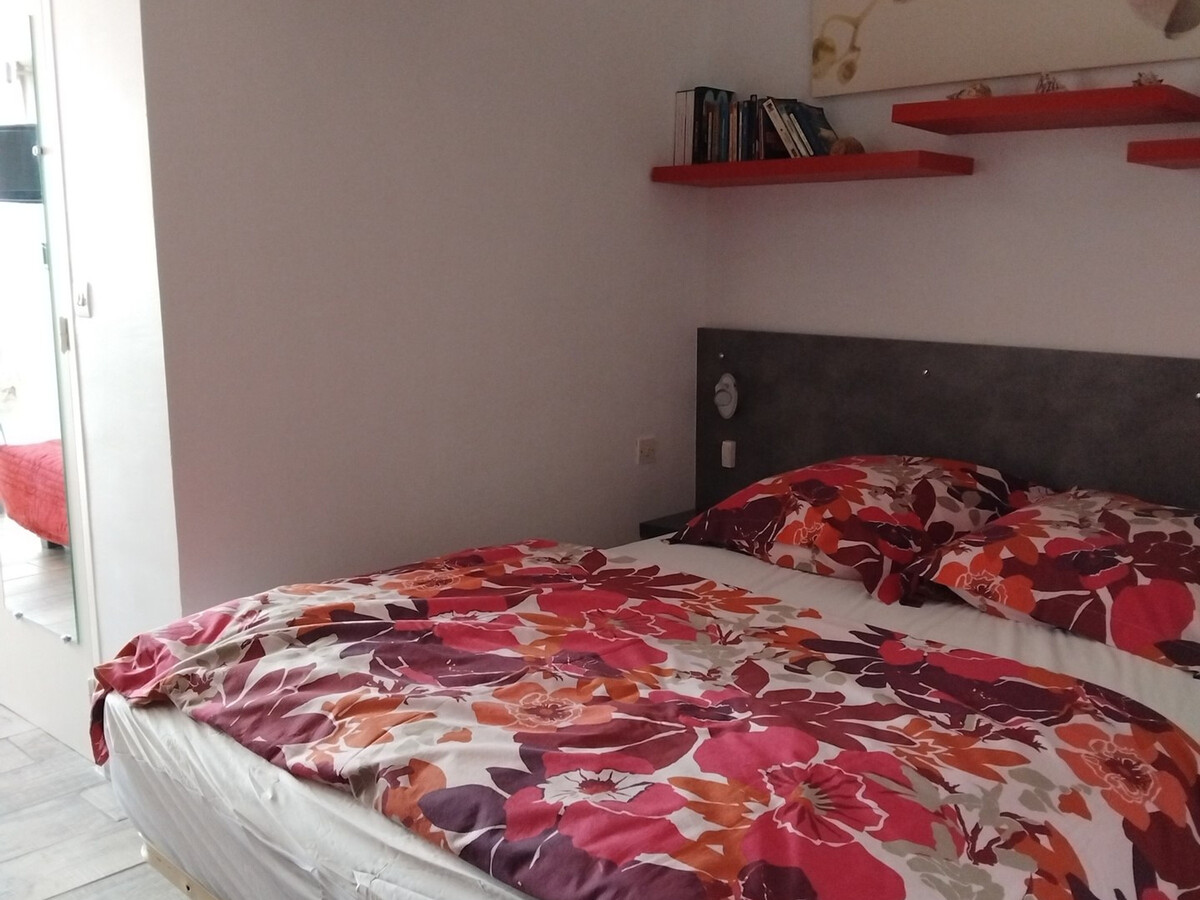 Studio 18m² à 5 min des Thermes, animaux admis - Photo 9