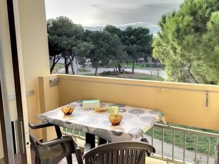 Appartement 20 m² proche thermes, balcon, animaux OK : photo 10