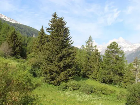 Appartement 6 pers. Lanslebourg, balcon sud-ouest et parking : photo 6