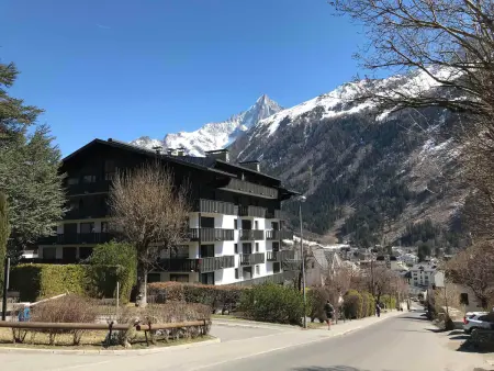 Appartement 36 m² Chamonix, terrasse vue Mont-Blanc : photo 14