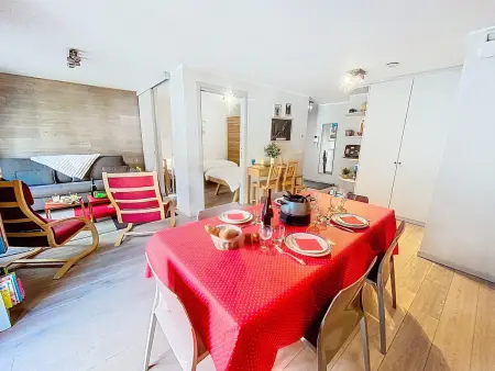 Appartement rénové 47 m² vue Mont-Blanc, Chamonix : photo 3