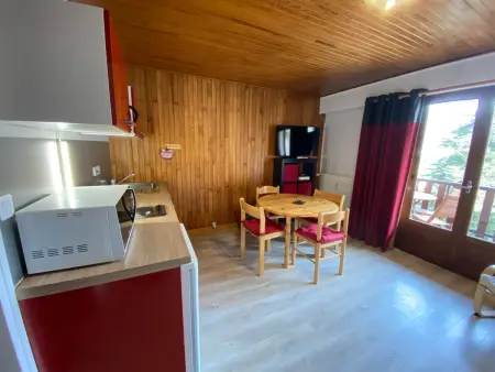 Studio 28 m² balcon vue Vanoise à Brides-les-Bains : photo 2